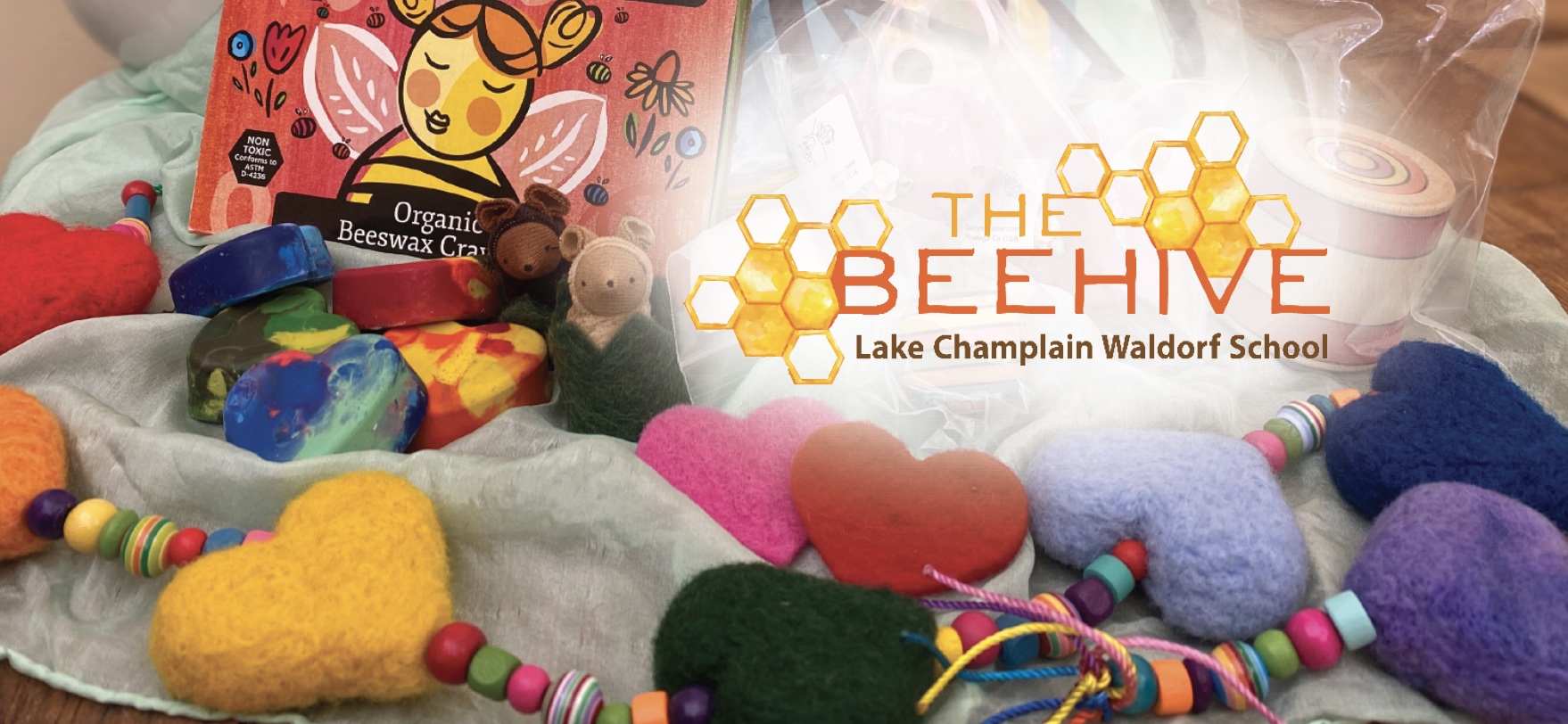 Beautiful Bugs Sun-catcher Kit - Lake Champlain Waldorf School
