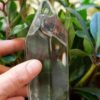 Crystal Plant Waterer - Image 4