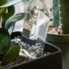 Crystal Plant Waterer - Image 5