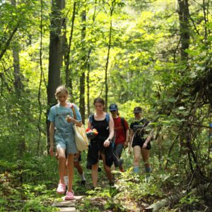 Summer Camp - Elementary